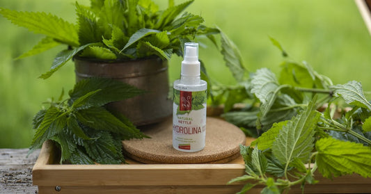 Wilde brandnetel Urtica dioica en Wild Brandnetelwater Hydrolina