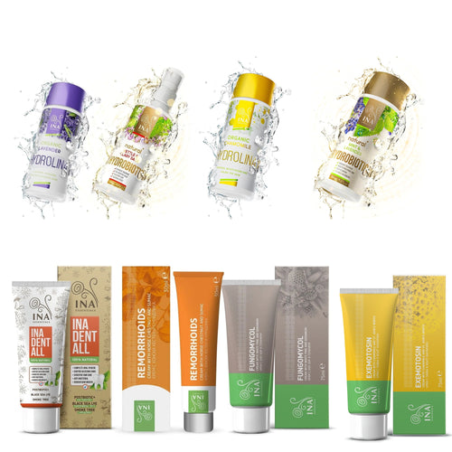 B2B Pakket Top 8 Bestsellers InaEssentials