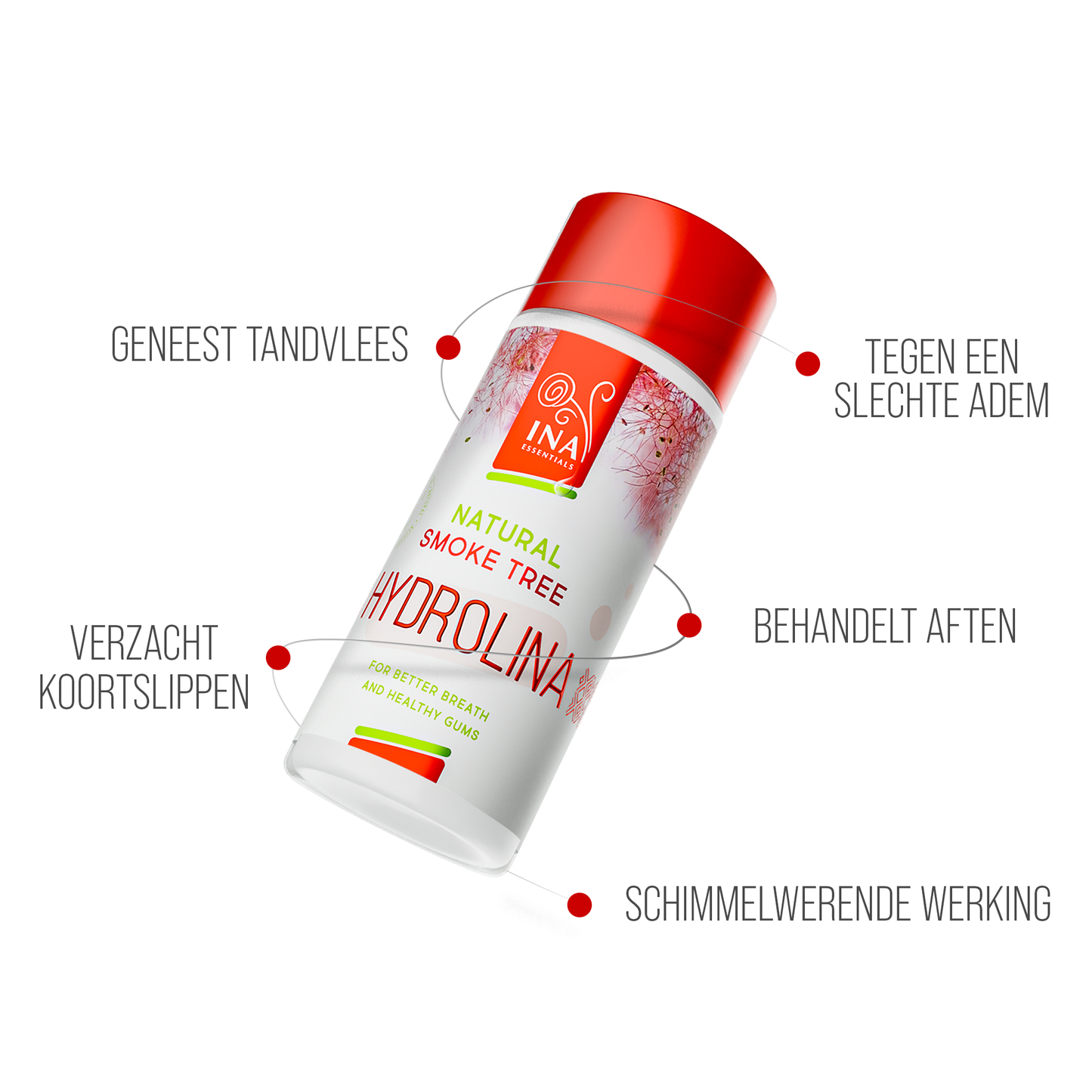 Koop 3 Ina Dent-All tandpasta's en krijg 1 Sumak mondwater Gratis